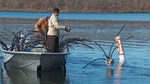 Debris from the recent tornado that swept through Oklahoma is already being put to use by state conservation officials, who are submerging it in lakes to form fish attractors.